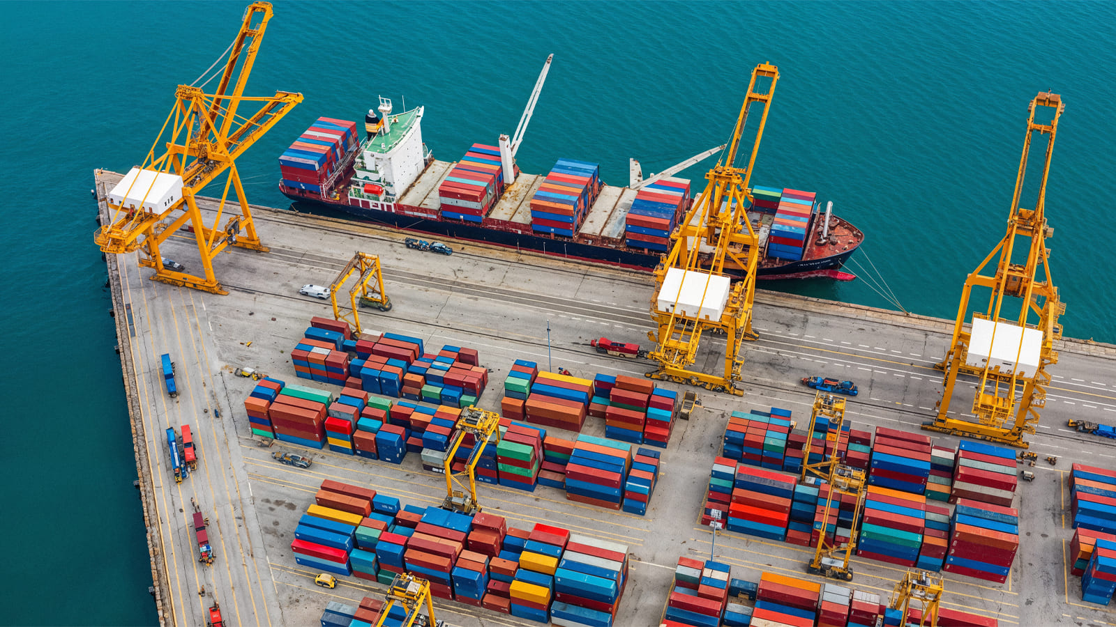 Khai báo hải quan Bà Rịa - Vũng Tàu