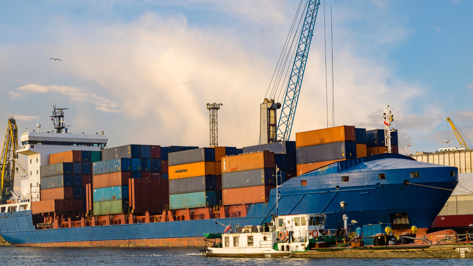 Dịch vụ khai báo hải quan cảng Cái Lân