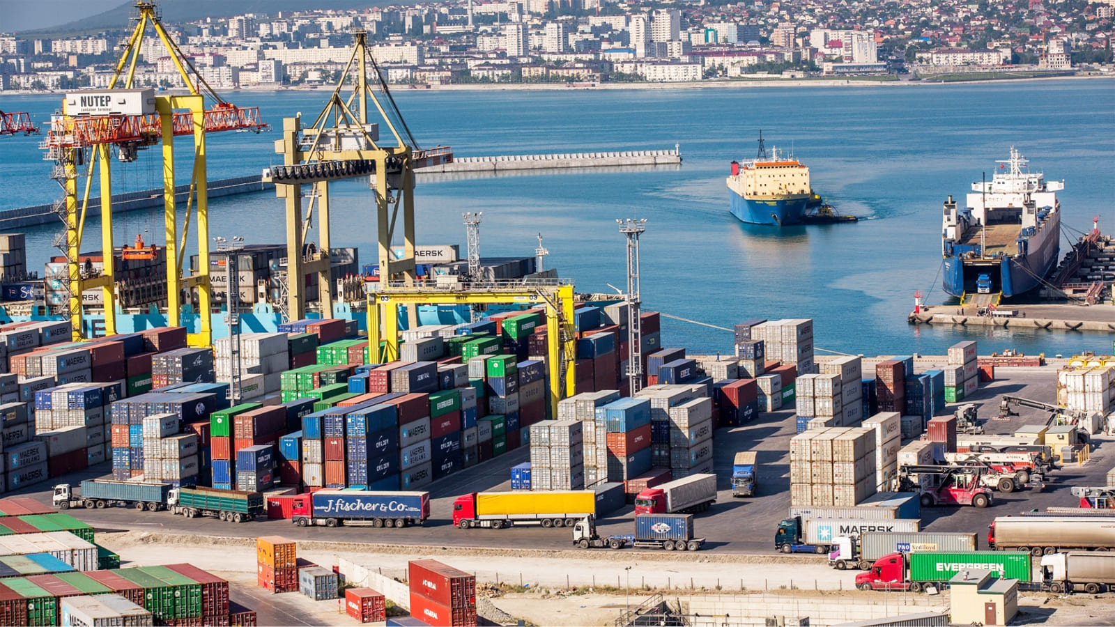 Khai báo hải quan cảng Nhơn Trạch