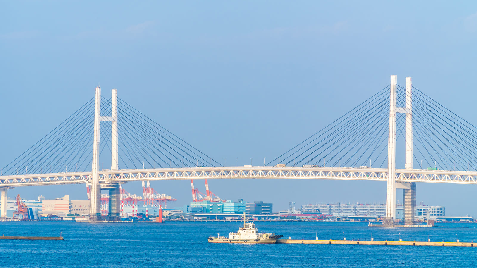 Khai báo hải quan cảng Sao Mai Bến Đình